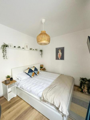 Zen Studio Braşov